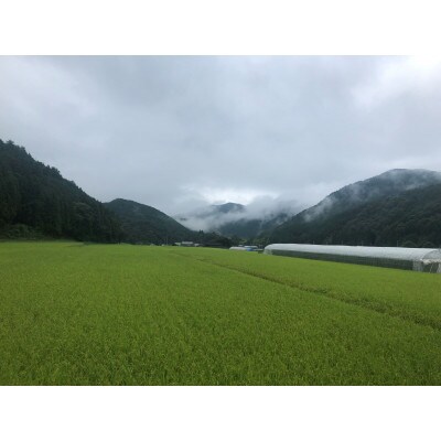 トマト農家のドライトマト。【100g】入り!