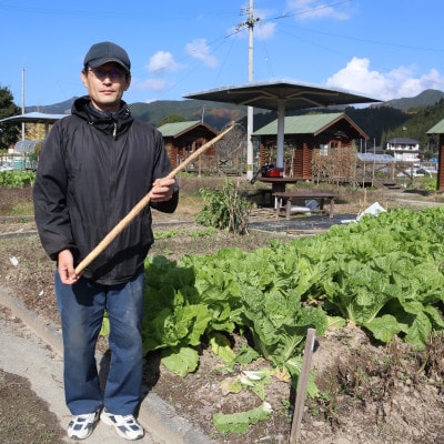 久万高原町産　自然薯　1kg