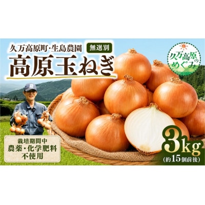 【生島農園】高原育ち 玉ねぎ 3kg(約15個前後)
