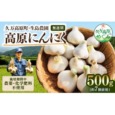 【生島農園】高原育ち にんにく 500g(約7個前後)