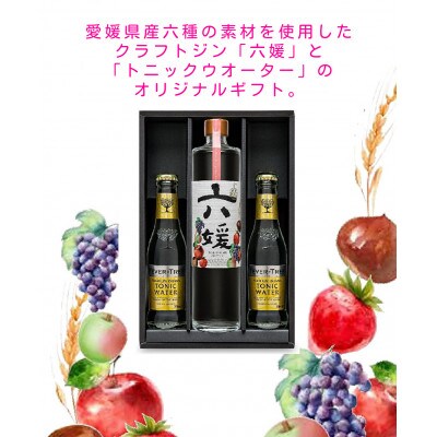 道後ジン　六媛・トニックセット(G6-500)