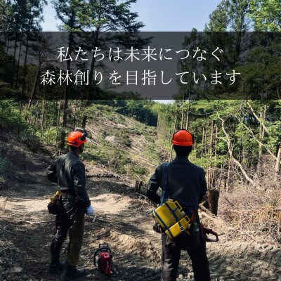 キャンプ用薪(広葉樹)　焚き付け用細竹　『焚火の始め方』説明書入り　約5kg