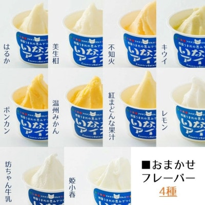 愛媛のご当地アイスセット(9種×2個 計18個入)