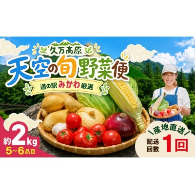 【道の駅みかわ厳選】天空の旬野菜便(野菜 詰め合わせ 5～6種類)