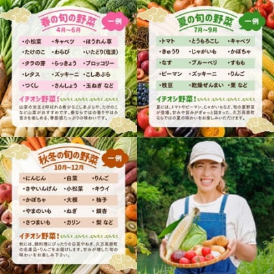【道の駅みかわ厳選】天空の旬野菜便(野菜 詰め合わせ 5～6種類)