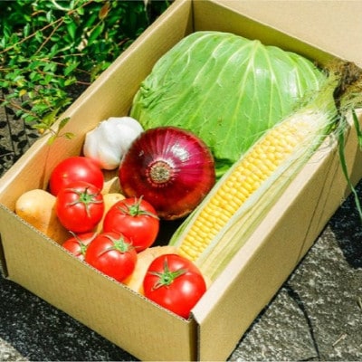 【道の駅みかわ厳選】天空の旬野菜便(野菜 詰め合わせ 5～6種類)