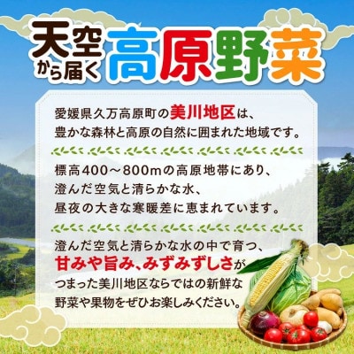 【道の駅みかわ厳選】天空の旬野菜便(野菜 詰め合わせ 5～6種類)