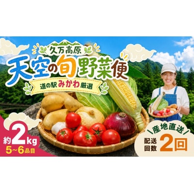 【発送月固定定期便】【道の駅みかわ厳選】天空の旬野菜便(野菜 詰め合わせ 5～6種類)春夏便全2回
