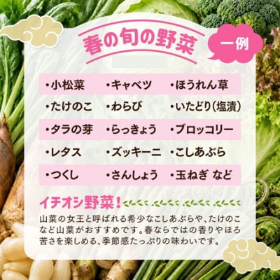 【発送月固定定期便】【道の駅みかわ厳選】天空の旬野菜便(野菜 詰め合わせ 5～6種類)春夏便全2回