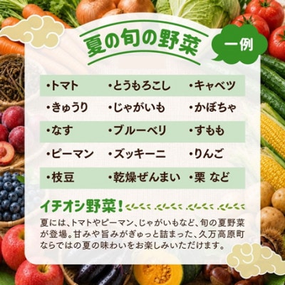 【発送月固定定期便】【道の駅みかわ厳選】天空の旬野菜便(野菜 詰め合わせ 5～6種類)夏秋冬便全3回