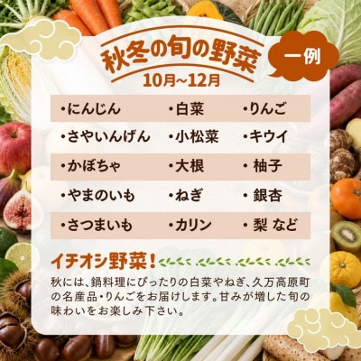 【発送月固定定期便】【道の駅みかわ厳選】天空の旬野菜便(野菜 詰め合わせ 5～6種類)夏秋冬便全3回