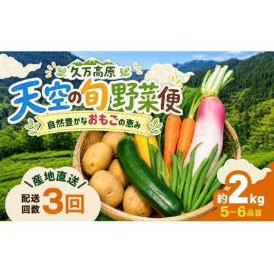【毎月定期便】久万高原 天空の旬野菜全3回