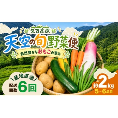 【毎月定期便】久万高原 天空の旬野菜全6回