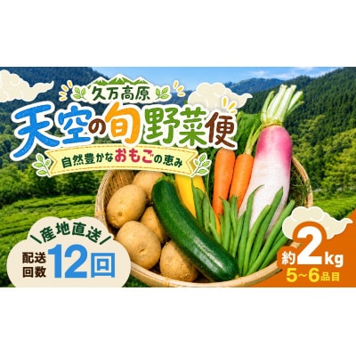 【毎月定期便】久万高原 天空の旬野菜全12回