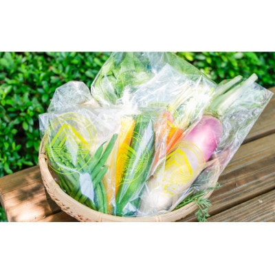 【毎月定期便】久万高原 天空の旬野菜全12回