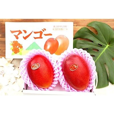 『令和元年グランプリ受賞』鹿児島県産 温泉完熟マンゴー 1kg(2~3玉)