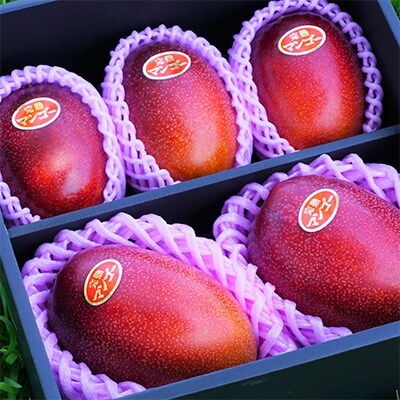 『令和元年グランプリ受賞』鹿児島県産 温泉完熟マンゴー 約2kg(4~6玉)
