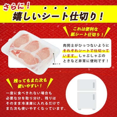 【本枯鰹節使用の黄金だし付】そばつゆ仕立ての指宿産黒豚しゃぶセット/A-295