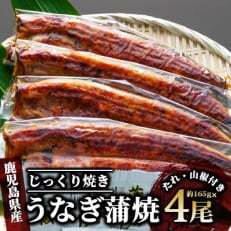 【2023年6月中旬発送】＜鹿児島県産＞うなぎ蒲焼じっくり焼き約165g&times;4尾(E-013)