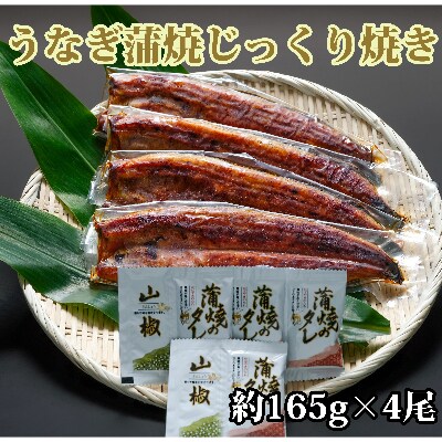 【2022年6月中旬発送】鹿児島県産うなぎ蒲焼じっくり焼き約165g×4尾(大新)E-013