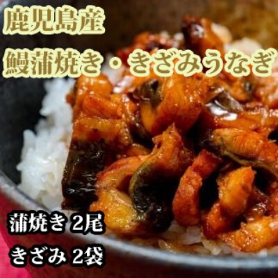 【2022年6月中旬発送】鹿児島産 鰻蒲焼(有頭背開き)2尾・きざみうなぎ2袋(奈良)C-041