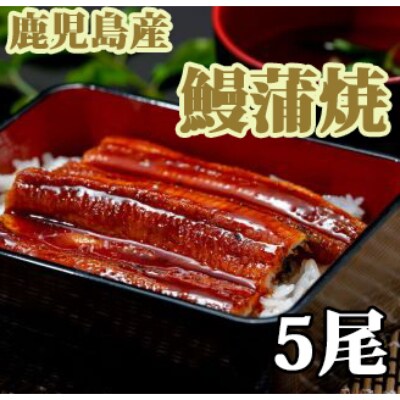 【2022年6月中旬発送】鹿児島産 鰻蒲焼(有頭背開き)5尾入(鰻の奈良)E-022