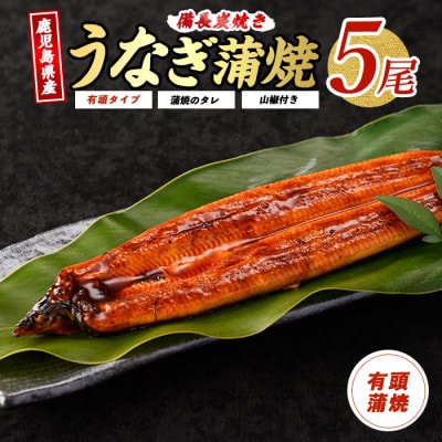 鹿児島産鰻蒲焼5尾(036-1312)