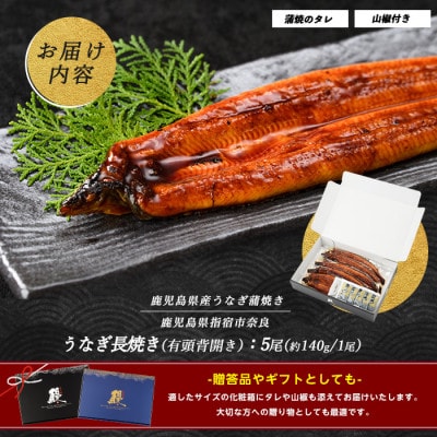 鹿児島産鰻蒲焼5尾(036-1312)