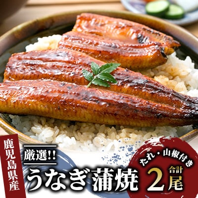 鹿児島産厳選うなぎ蒲焼セット2尾(022-1313)