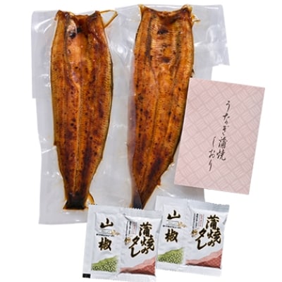 鹿児島産厳選うなぎ蒲焼セット2尾(022-1313)