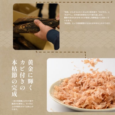 【訳あり・簡易包装】黄金の鰹節老舗 近海物一本釣り本枯花かつお50g×10袋入(016-1151)