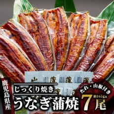 【2023年6月中旬発送】＜鹿児島県産＞うなぎ蒲焼じっくり焼き約165g&times;7尾(047-105)