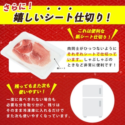 <指宿産かごしま黒豚>しゃぶしゃぶ肉バラ500g・モモ500g(013-1007)
