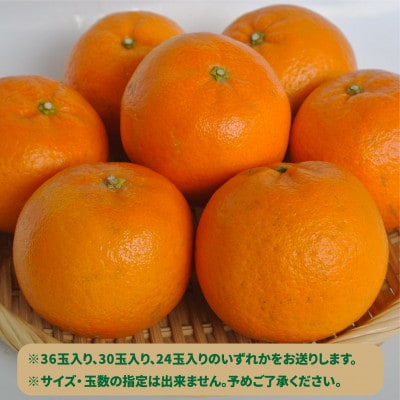 みかん農家坂元さんちのタンカン贈答用約5kg(A-055)