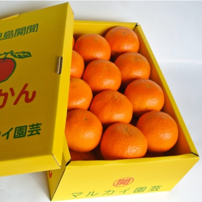 みかん農家坂元さんちのタンカン贈答用約5kg(A-055)