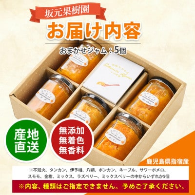 みかん農家坂元さんちの手作りジャム5個セット(無添加・無着色・無香料) (IB043-001)