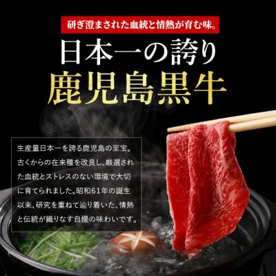 鹿児島黒牛カタロース・ウデスライスセット【肉質等級5等級】(IB045-009)