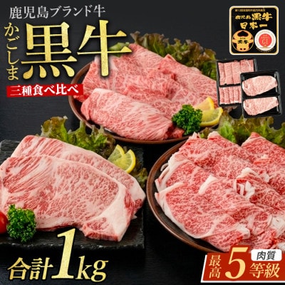 鹿児島黒牛サーロインステーキ&すきやき食べ比べセット1kg(IB045-008)