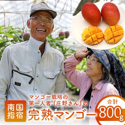 【2024年 発送】マンゴー栽培の第一人者庄野さんの完熟指宿産マンゴー800g前後(015-043)