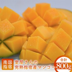 室屋さんの完熟指宿産マンゴー(800g前後・2～3玉)(中園久太郎商店)T-008 | ふるさと納税のお礼品