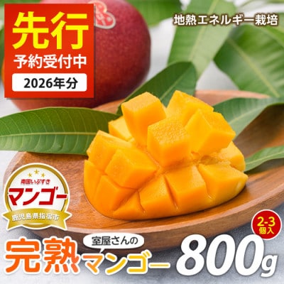 【2026年 発送】室屋さんの完熟指宿産マンゴー約800g2～3玉(016-1758)