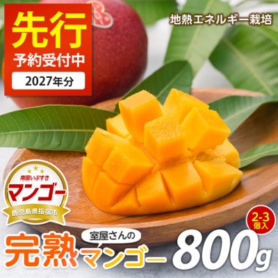 【2027年 発送】室屋さんの完熟指宿産マンゴー約800g2～3玉(IB016-001)