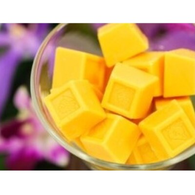 指宿産マンゴーを使用したマンゴープリンとマンゴーチョコレートセット(中園久太郎商店)A-168