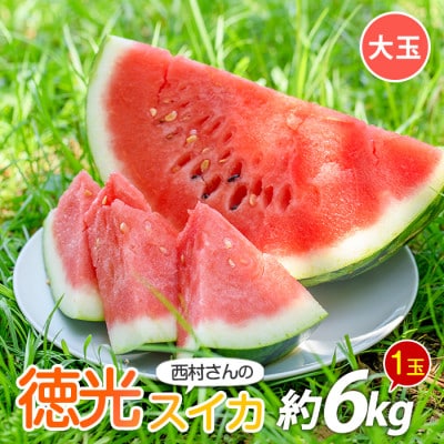 【2026年5月下旬～順次発送】西村さんのこだわり徳光スイカ大玉1玉(IB016-016)