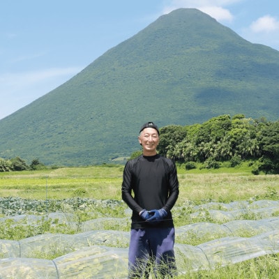【2026年5月下旬～順次発送】西村さんのこだわり徳光スイカ大玉1玉(IB016-016)
