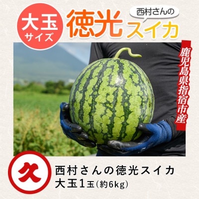 【2026年5月下旬～順次発送】西村さんのこだわり徳光スイカ大玉1玉(IB016-016)