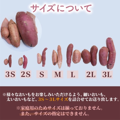 さつまいも3種(紅はるか・シルクスイート・安納芋)詰合せ10kg(013-1132)