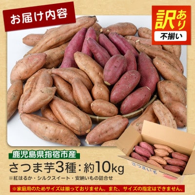 さつまいも3種(紅はるか・シルクスイート・安納芋)詰合せ約10kg(IB084-009)