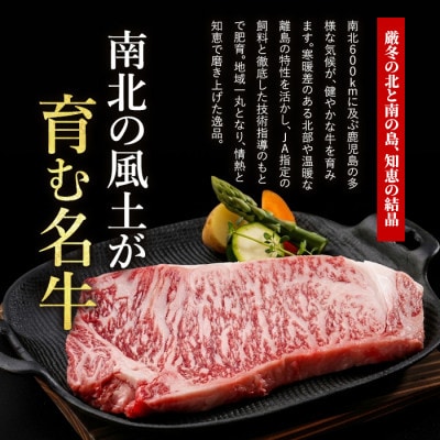 鹿児島黒牛サーロインステーキ200g×3枚セット(IB045-007)