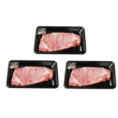 鹿児島黒牛サーロインステーキ200g×3枚セット(033-1301)